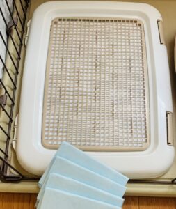 トイレトレーニング