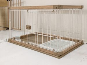 犬　トイレ