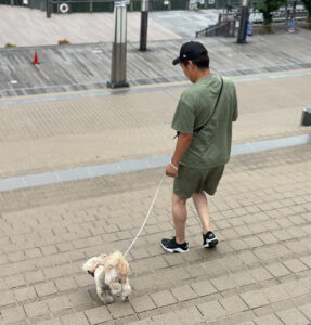 愛犬の初めてのお散歩デビュー