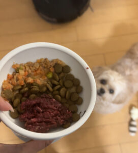愛犬ご飯