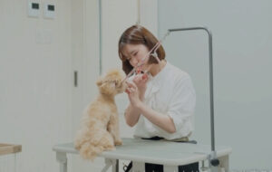 トリミングサロン